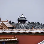 Happy Dragon Saga Hotel With Terrace-- Free Wifi Unlimited For Westen Software And Fluent English Speaking,Tourist Ticket Service&Food Recommendation,Near Tian\'Anmen Forbidden City,Wangfujing Walking Street,Easy To Get Any Tour Sights By Metro